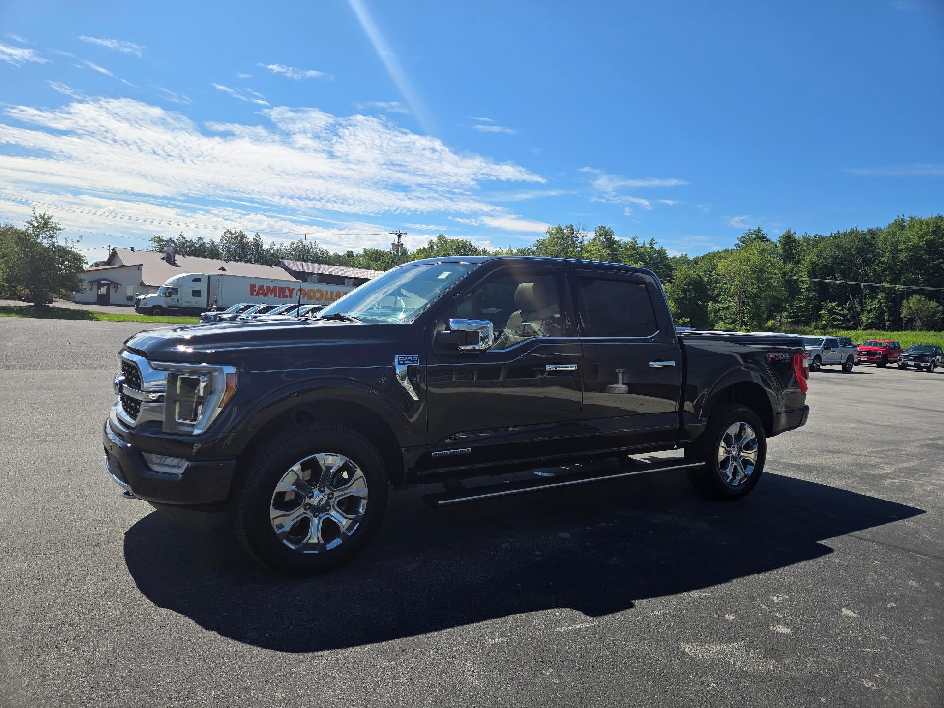 2023 Ford F-150 Platinum